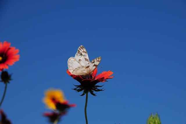 Dlaczego dziecko potrzebuje NNW szkolnego – realna ochrona i korzyści